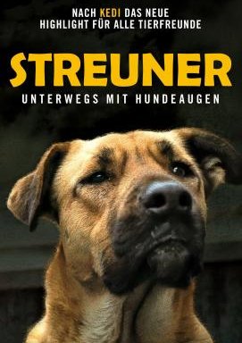 Streuner - Unterwegs mit Hundeaugen